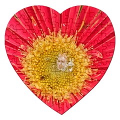 A Red Flower Jigsaw Puzzle (heart)