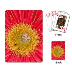 A Red Flower Playing Cards Single Design by natureinmalaysia