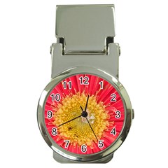 A Red Flower Money Clip With Watch