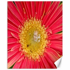 A Red Flower Canvas 16  X 20  (unframed) by natureinmalaysia