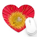 A Red Flower Mouse Pad (Heart) Front