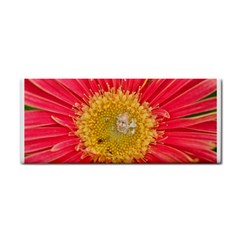 A Red Flower Hand Towel by natureinmalaysia