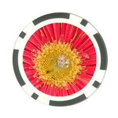 A Red Flower Poker Chip 10 Pack