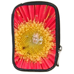 A Red Flower Compact Camera Leather Case by natureinmalaysia