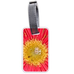 A Red Flower Luggage Tag (one Side) by natureinmalaysia