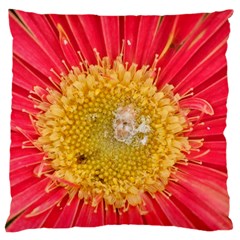 A Red Flower Large Cushion Case (one Side) by natureinmalaysia