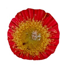 A Red Flower 15  Premium Round Cushion  by natureinmalaysia