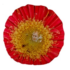 A Red Flower 18  Premium Round Cushion  by natureinmalaysia