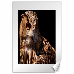 Owl Canvas 12  X 18  (unframed) by MLWartstore