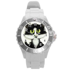 Curiouskitties414 Plastic Sport Watch (large) by AmyLynBihrle