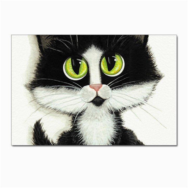 Tuxedo Cat by BiHrLe Postcards 5  x 7  (10 Pack)