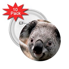 Koala 2 25  Button (10 Pack)