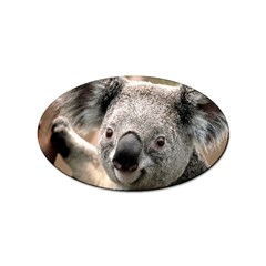 Koala Sticker 100 Pack (oval)