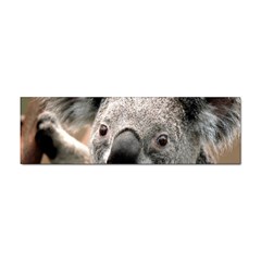 Koala Bumper Sticker 100 Pack