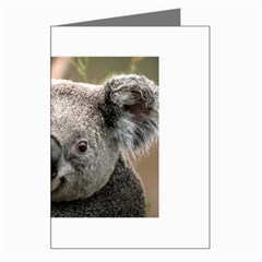 Koala Greeting Card