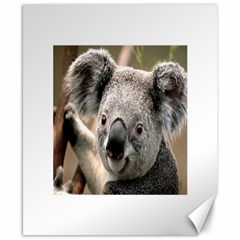 Koala Canvas 8  X 10  (unframed) by vipahi