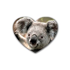 Koala Drink Coasters (heart) by vipahi