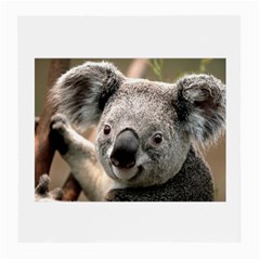 Koala Glasses Cloth (medium, Two Sided)