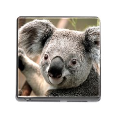 Koala Memory Card Reader With Storage (square)