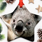 Koala Star Ornament Front