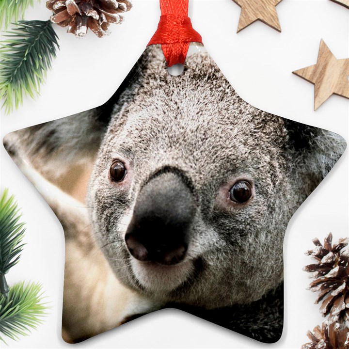 Koala Star Ornament