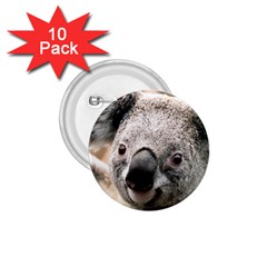 Koala 1 75  Button (10 Pack) by vipahi