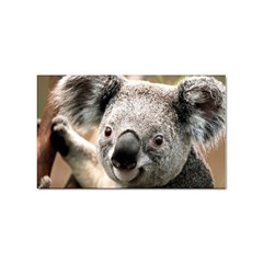 Koala Sticker (rectangle)