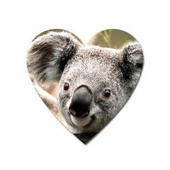 Koala Magnet (heart) by vipahi