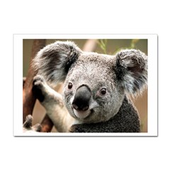 Koala A4 Sticker 100 Pack