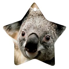 Koala Star Ornament (two Sides) by vipahi