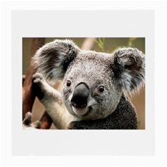 Koala Glasses Cloth (medium, Two Sided)