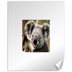 Koala Canvas 11  X 14  (unframed)