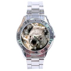 Koala Stainless Steel Watch (men s)