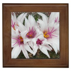 Bloom Cactus  Framed Ceramic Tile by ADIStyle