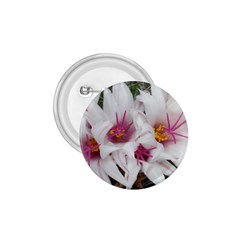 Bloom Cactus  1 75  Button by ADIStyle