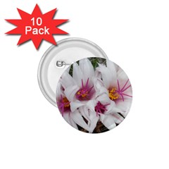 Bloom Cactus  1.75  Button (10 pack)