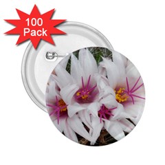 Bloom Cactus  2 25  Button (100 Pack) by ADIStyle