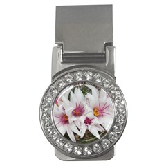 Bloom Cactus  Money Clip (CZ)