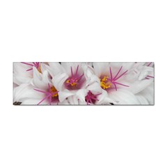 Bloom Cactus  Bumper Sticker by ADIStyle