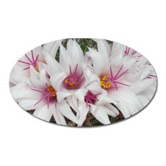 Bloom Cactus  Magnet (oval) by ADIStyle