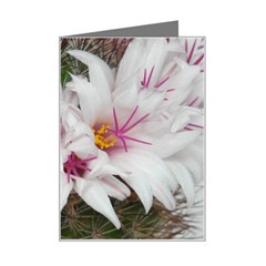 Bloom Cactus  Mini Greeting Card by ADIStyle