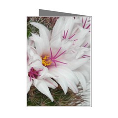 Bloom Cactus  Mini Greeting Card (8 Pack) by ADIStyle