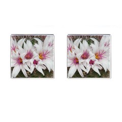 Bloom Cactus  Cufflinks (square) by ADIStyle