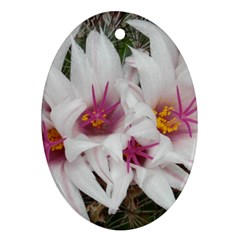 Bloom Cactus  Oval Ornament (two Sides) by ADIStyle