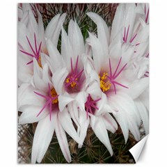 Bloom Cactus  Canvas 16  X 20  (unframed) by ADIStyle