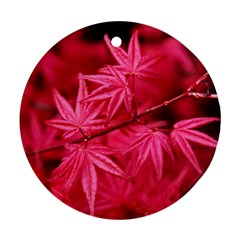 Red Autumn Round Ornament