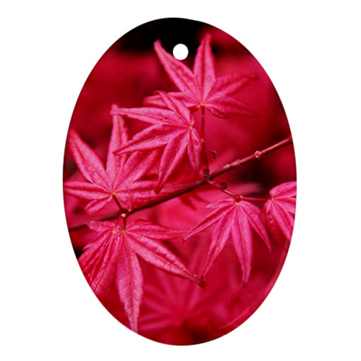 Red Autumn Oval Ornament