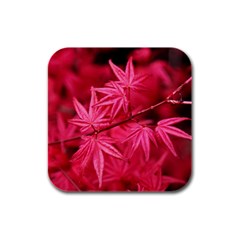 Red Autumn Drink Coasters 4 Pack (Square)