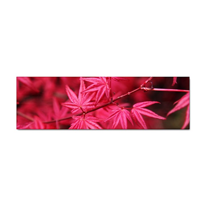 Red Autumn Bumper Sticker 100 Pack