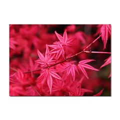 Red Autumn A4 Sticker 100 Pack by ADIStyle